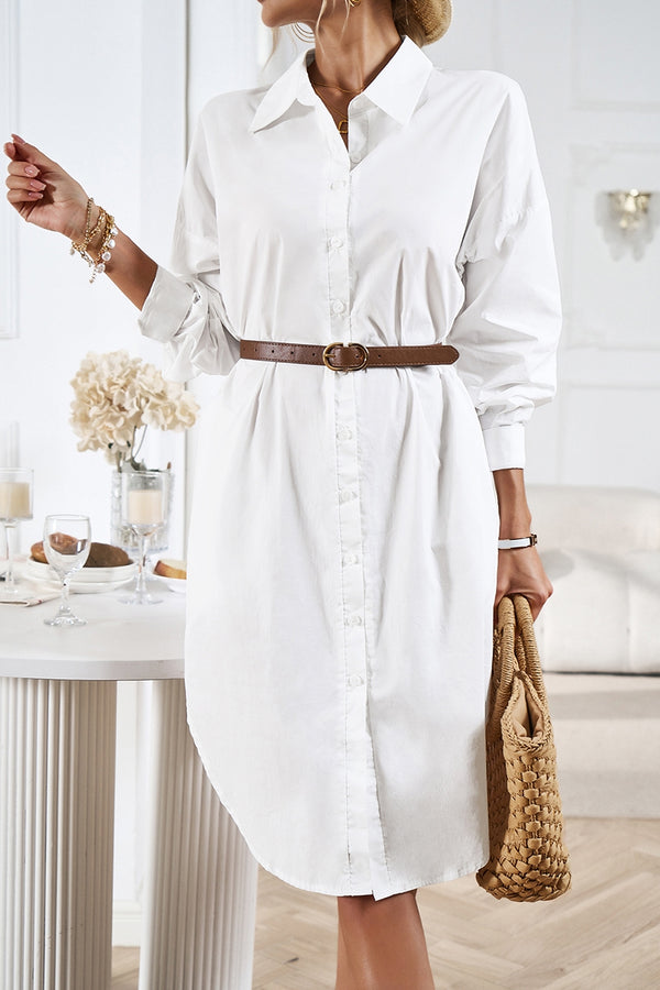 Button up shirt dress with belt hotsell